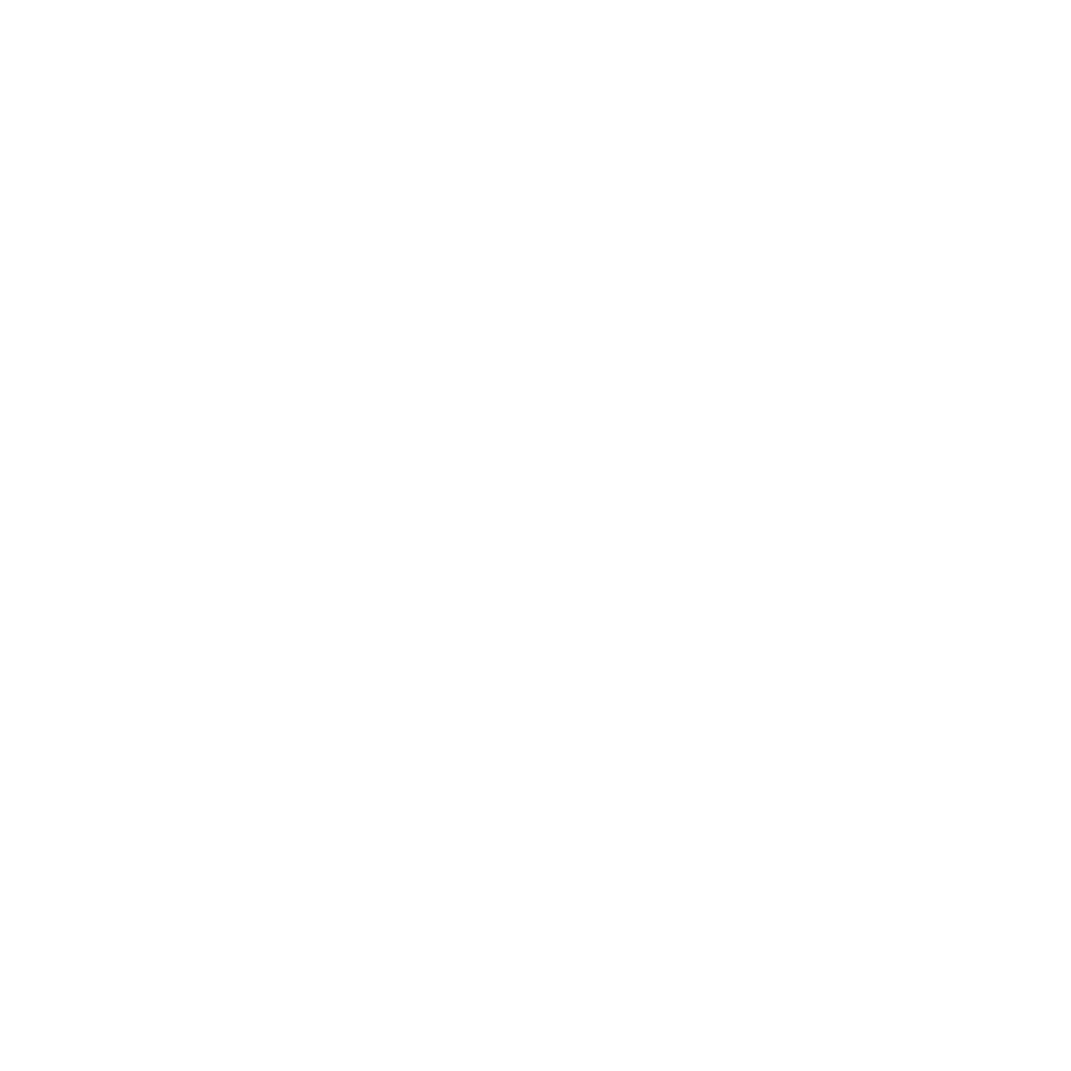 Francisco Solis